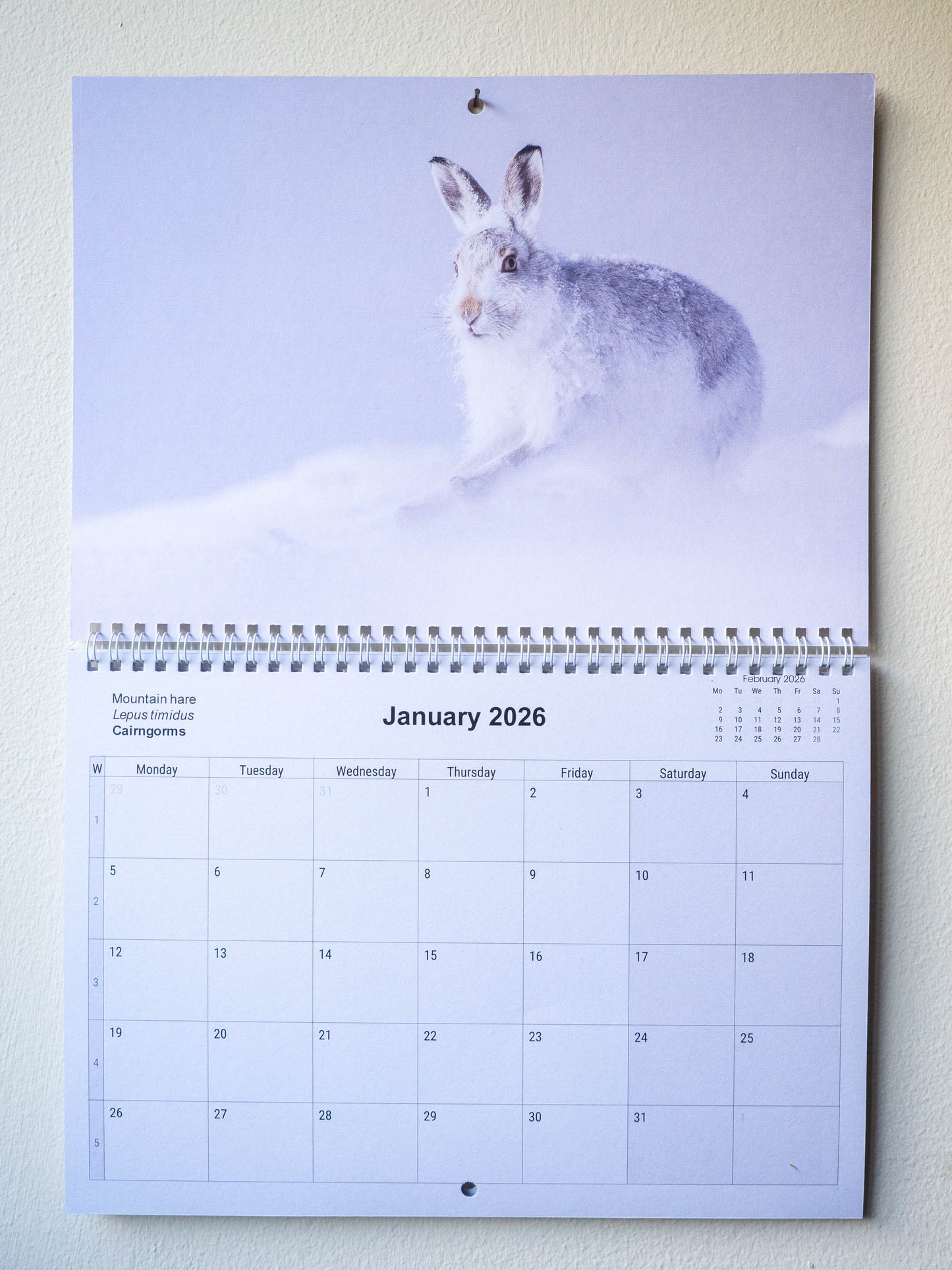 Scottish Wildlife Calendar 2026