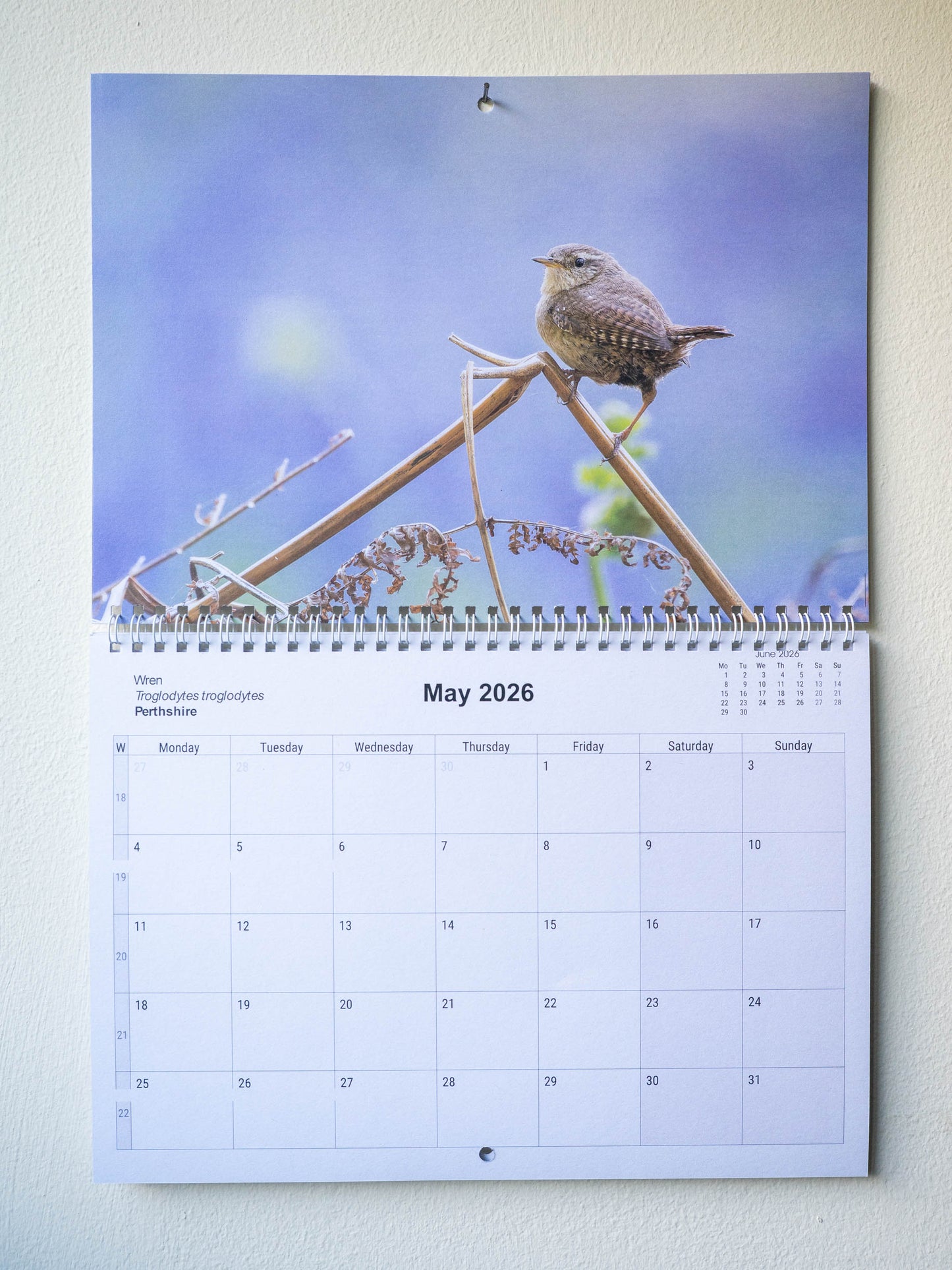 Scottish Wildlife Calendar 2026