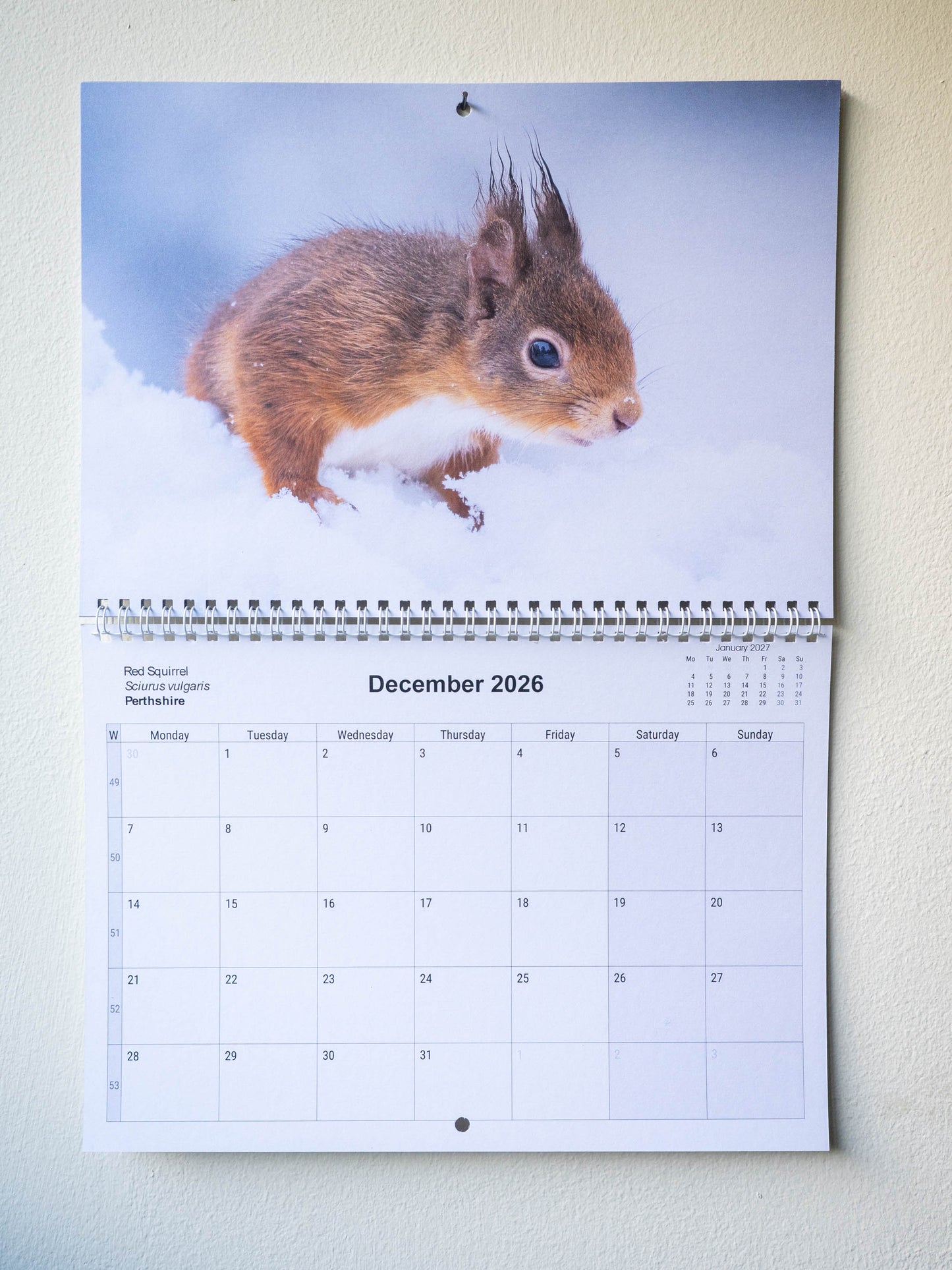 Scottish Wildlife Calendar 2026