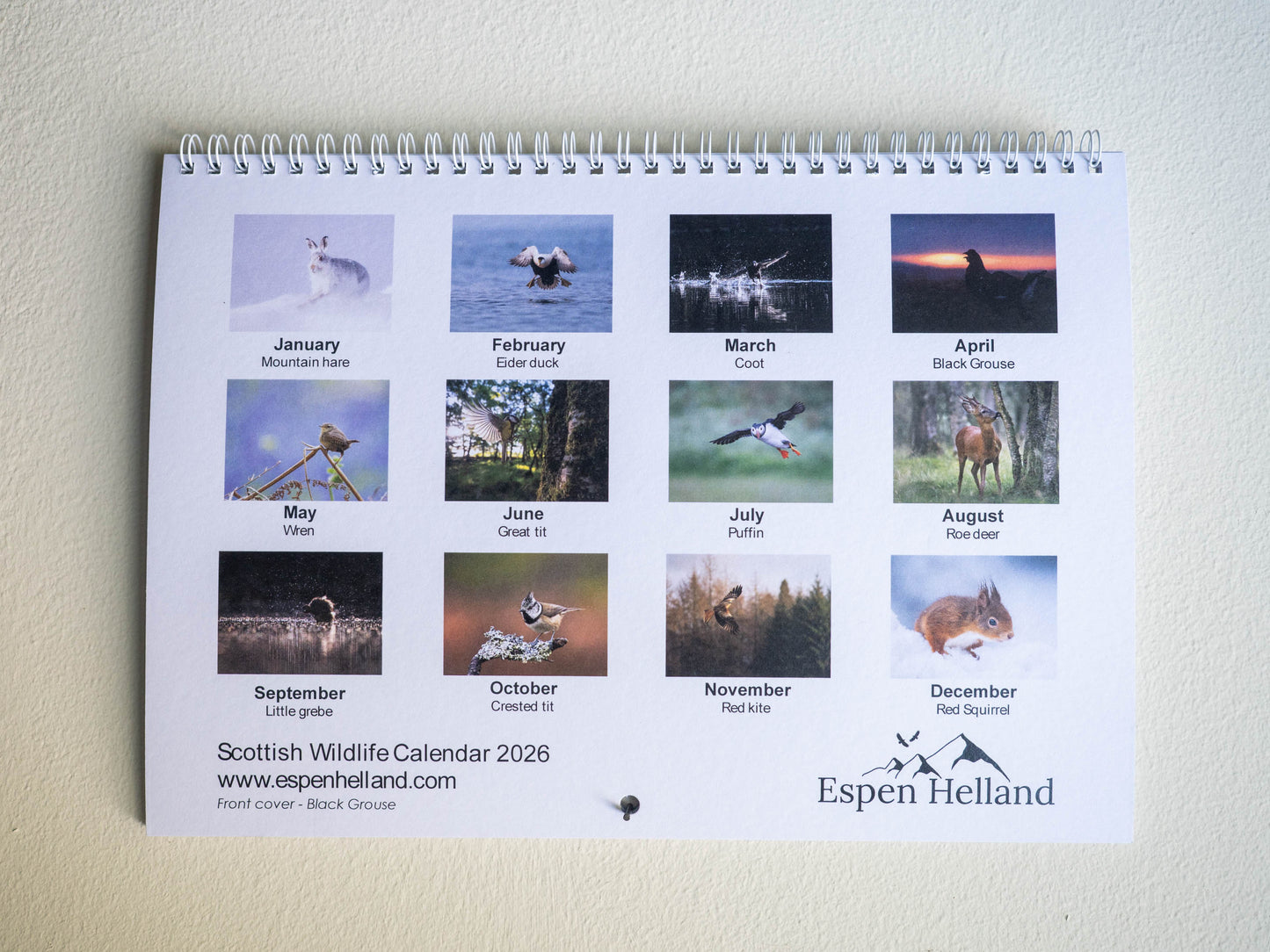 Scottish Wildlife Calendar 2026